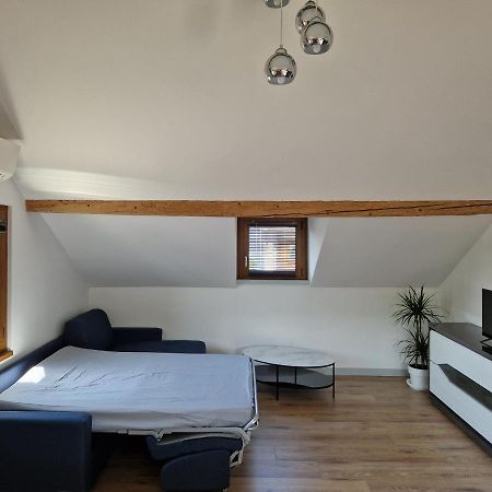 Appartement F2 A 1Mn Du Lac Publier Eksteriør billede