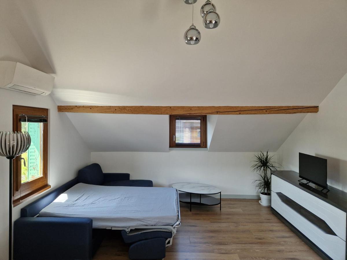 Appartement F2 A 1Mn Du Lac Publier Eksteriør billede
